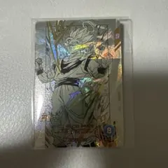 Apt-002 孫悟空　パラレル