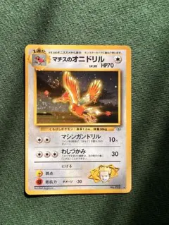 2026年最新】Fearowの人気アイテム - メルカリ