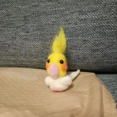 キモカワ羊毛オカメインコ