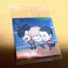 ハイキュー シールウエハース シークレット SEC 黒尾鉄朗 夜久衛輔 海信