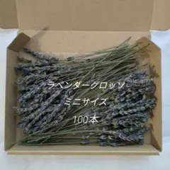 A-108❀ラベンダーのドライフラワー グロッソ ミニサイズ／ドライフラワー花材