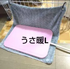 Item thumbnail for item 577a7938-3191-4009-ab78-97e782d5a2bb