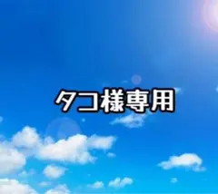 タコ様専用