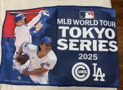大谷翔平 2023 WBC優勝記念タオル/マグカップ 未開封未使用 - メルカリ