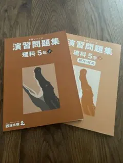 Item thumbnail for item b16f60fc-26cb-4d29-8243-73d815f7e2ee