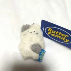 Butter family 韓国限定 新品未使用のサムネイル