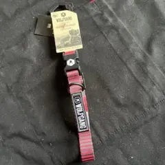 Item thumbnail for item 106ff533-036a-4fd4-9b43-7afe8d32dbe2