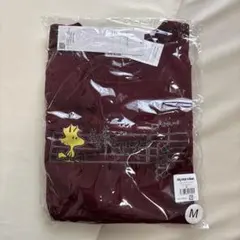 Item thumbnail for item 10a406ef-9d7d-46d8-9fb2-cd7fb6e9f5f7