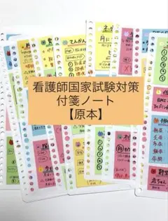 値下げしました！【原本発送‼️】看護師国家試験対策　付箋ノート付箋200枚