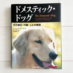 Item thumbnail for item 8ae05711-12b0-436f-b1a1-d59a30770de2