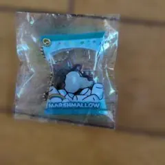 non様 専用 ガチャガチャと じゃらじゃらキーホルダー - メルカリ