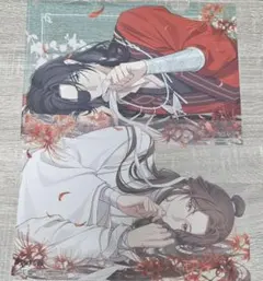 天官賜福　くじ引き堂　等身大布ポスター　S賞　謝憐 天官賜福 くじ引き堂 等身大布ポスター S賞 謝憐 - メルカリ