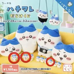 ハチワレだらけくじ＊3個セット