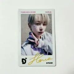 &TEAM D'PARTMENT チェキ HARUA