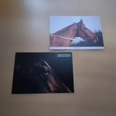 2026年最新】名馬カードの人気アイテム - メルカリ