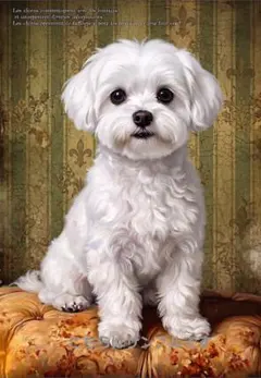マルチーズ 肖像画 パネル生地 犬