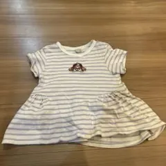 プティマイン パウパトロール　スカイ