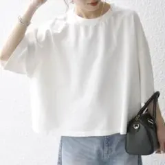 SHIPS any インレイ ハーフスリーブ ショートTEE ホワイトのサムネイル