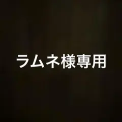 ラムネさん専用　ドライ２枚