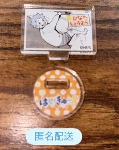 ハイキュー ファンパーク 2025 miniフィギュア 幼少期 日向翔陽 烏野