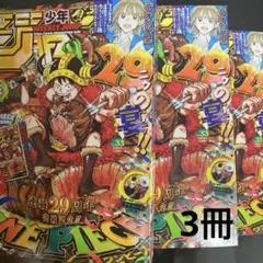 週刊少年ジャンプ 33号付録 ONE PIECEカード 付録のみ 4枚セット