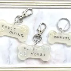 Item thumbnail for item 6e7b4b56-5872-4ecc-9431-337ba1ad3cd2