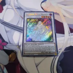新品 未開封 遊戯王 ガーデン・ローズ・メイデン　ドイツ語 遊戯王 GARDEN ROSE MAIDEN 英語版 ガーデン・ローズ・メイデン - メルカリ