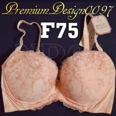 F75ブラジャー　寄せて上げて　プレミアム　レッドレーベル　0097
