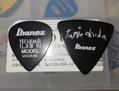 ユニコーン　ピック　奥田民生 手島