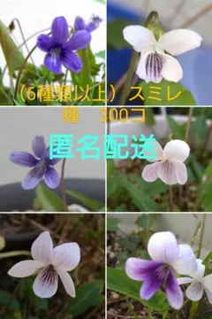 ぴ様 リクエスト 3点 まとめ商品