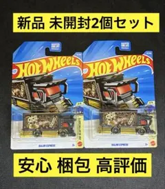 ライジン エキスプレス チェイス 2台セット ホットウィール 新品 未開封 ライジン エキスプレス チェイス 2台セット ホットウィール 新品 未