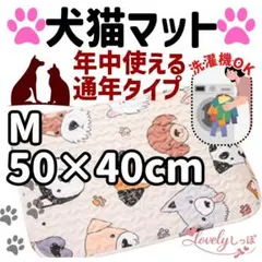 Item thumbnail for item ce27fcf1-361a-4131-9cdc-e51a7ae4ef33