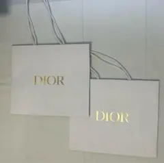 Dior ショッパー ギフト袋　ディオール