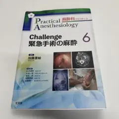 Item thumbnail for item 87f769e9-aa19-42f5-9548-23db0daa5506