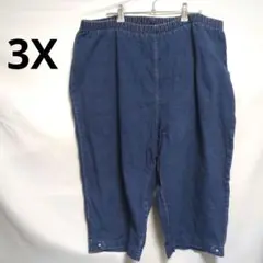 3X デニム ショートパンツ ブルー 総ゴム 海外 US古着 ユニセックスのサムネイル