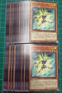 SRタケトンボーグ　50枚セット　まとめ売り