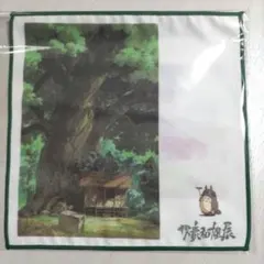 Item thumbnail for item 1ab11729-c8d6-4e23-bc33-52e68e642c9c