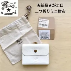 Item thumbnail for item 2b9425f4-3afd-4b33-9599-7f704178dd3e