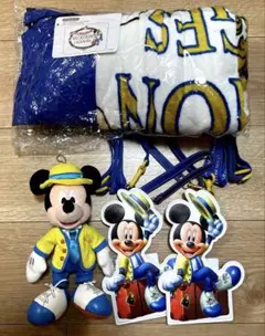 ディズニーバケーションパッケージ　限定ぬいぐるみ・パスポートケース・ブランケット