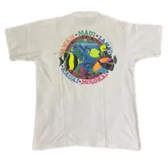 90s 古着 フルーツオブザルーム USA製 バックプリント シングルステッチ
