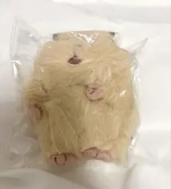 新品 未開封 はむにぎり きなこ 本体 りぶはあと ぬいぐるみ ハムスターのサムネイル