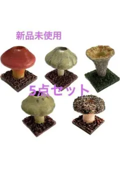 トモヤ様ご予約品落葉ハナイグチ3キロ良品 トモヤ様ご予約品落葉ハナイグチ3キロ良品 トモヤ様ご予約品落葉