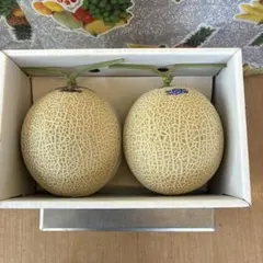 高知温室メロン 2玉入り ギフト用箱込み5キロ1 - メルカリ