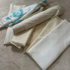 Item thumbnail for item 261faa77-efcc-414b-a705-3894210c2154