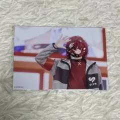 騎士A ばぁうくん すとふぇす2025 ブロマイド