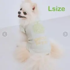 ジェラートピケ　CAT&DOG フルーツジャガードプルオーバー　メロン　L 犬服