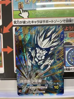 Hareruya810様 リクエスト 2点 まとめ商品