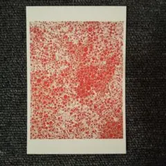 草間彌生、絵画、油彩４号、魂の灯、2008、肉筆、新品額縁。 値下げ】［F8号］草間彌生（Flowers）肉筆/サイン有/絵画/油彩