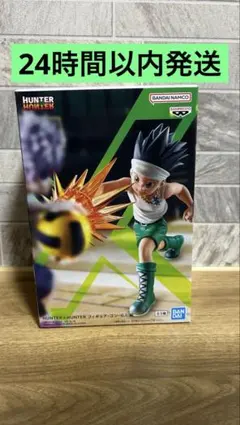 2026年最新】HUNTER×HUNTER フィギュア-ゴン-G.I.編の人気アイテム