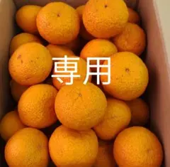 ふ〜りん〜様専用ページです。